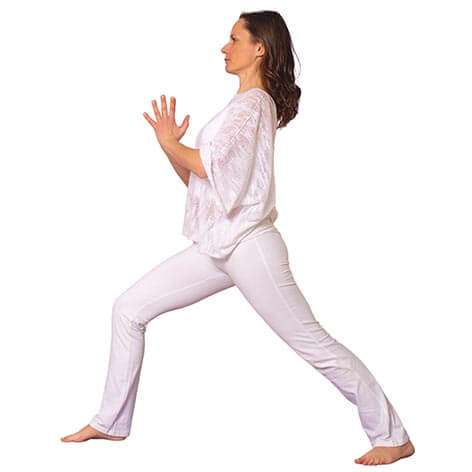 joga za začetnike joga za začetnike